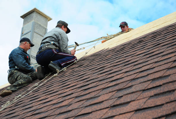 Quick and Trustworthy Emergency Roof Repair Services in Valrico, FL